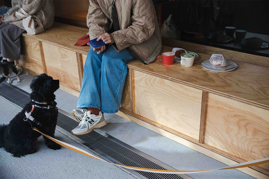 THESTEPSのショップ画像